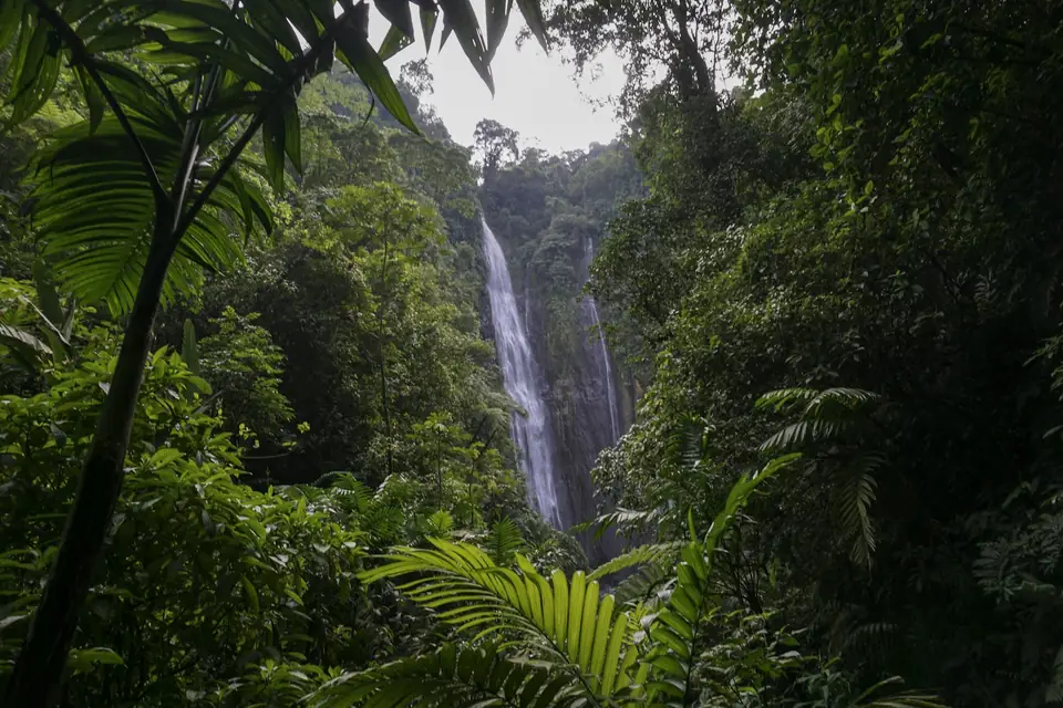 Cascada en medio de la selva tropical guatemalteca