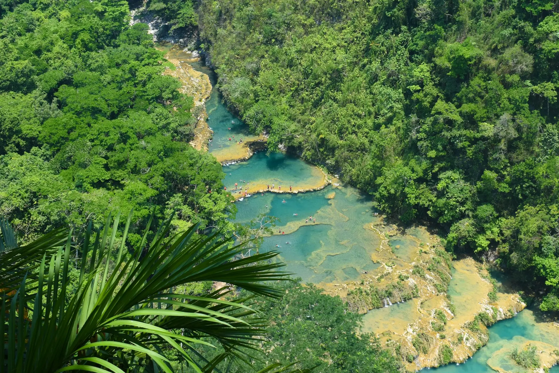 Pozas turquesa de Semuc Champey rodeadas de selva, Alta Verapaz