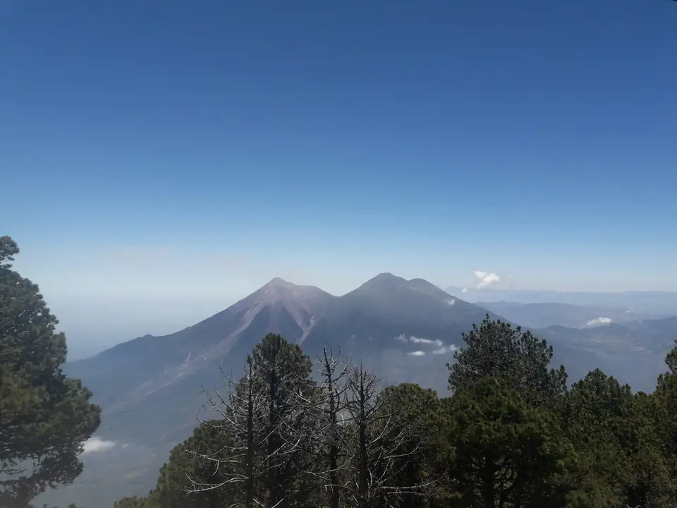 Volcanes de Fuego y Acatenango vistos desde el bosque de pino